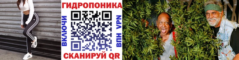 Каннабис гибрид  где можно купить   omg маркетплейс  Всеволожск 